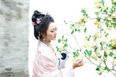 【清梦入怀】---芸妮