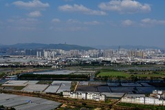 2026小城的春（叁拾）