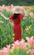松雅湖花开了