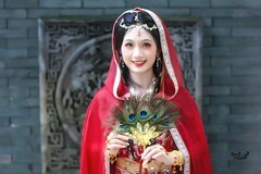 【孔雀羽·朱墙影】---不覔