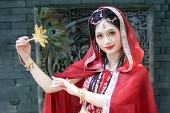 【孔雀羽·朱墙影】---不覔