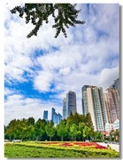 2025国庆手机随拍（二十三）