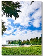 2025国庆手机随拍（二十三）