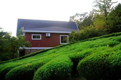 丹东——五龙山（17）