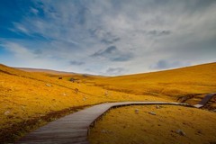 新疆喀拉峻草原 10