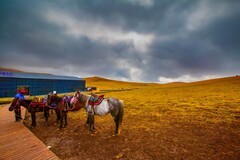 新疆喀拉峻草原 10
