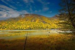 新疆喀纳斯风景23