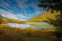 新疆喀纳斯风景23