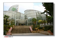云台的温室植物。