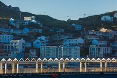 外出随拍（587）.