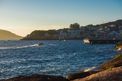 外出随拍（587）.