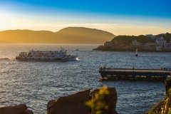 外出随拍（588）.