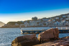 外出随拍（588）.