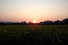 奥林巴斯SP-100EE杂拍（202603）