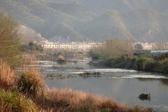 奥林巴斯SP-100EE杂拍（202603）