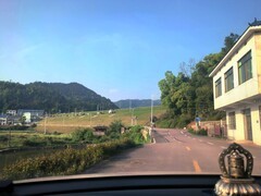 漫步星城 （1049）茶亭花海