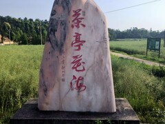 漫步星城 （1049）茶亭花海