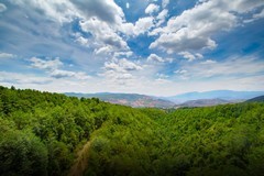 香格里拉到西双版纳沿途风景64