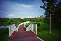 银湖游拍（续）