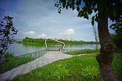 银湖游拍（续）