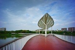 银湖游拍（续）