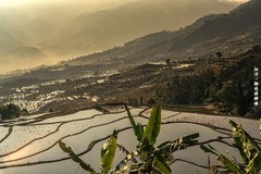 云南红河 · 撒玛坝梯田（之六）