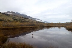 格林诺奇游拍（四）