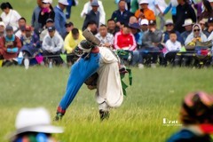 草原搏克（25）