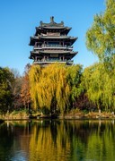 大明湖初冬景色（七）