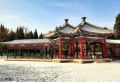 京城雪景之天坛雪韵之三（完）