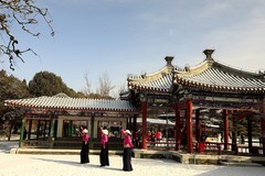 京城雪景之天坛雪韵之三（完）