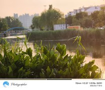 夕阳无限好
