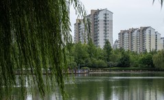 庐州印象（694）国庆快乐