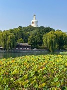 2026年- 北海景山公园纪实拍-0643