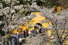 2025年第0657贴-南京之行旅拍（0917）