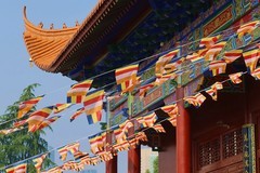 再拍宝通寺（四）