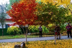 色彩斑斓的深秋—(又续)