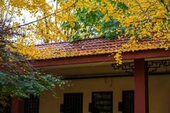 色彩斑斓的深秋—(又续)