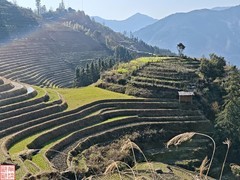 2025.3.19桂林龙脊平安梯田（30）