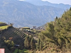 2025.3.19桂林龙脊平安梯田（30）