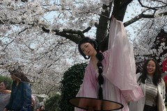 东湖樱花园（六）