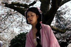 东湖樱花园（六）