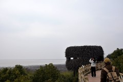 2026春节皖浙赣（17）感受到生命的韧性