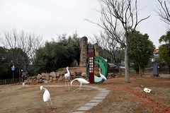 2026春节皖浙赣（17）感受到生命的韧性