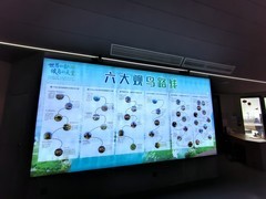 2026春节皖浙赣（17）感受到生命的韧性