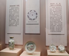 沈阳 · 清代嘉庆至宣统时期瓷器展（上）