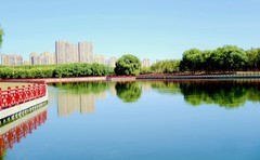 蒲河掠影