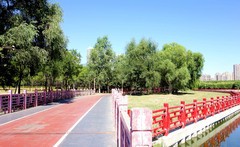 蒲河掠影