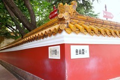 青岛网红墙