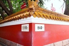 青岛网红墙